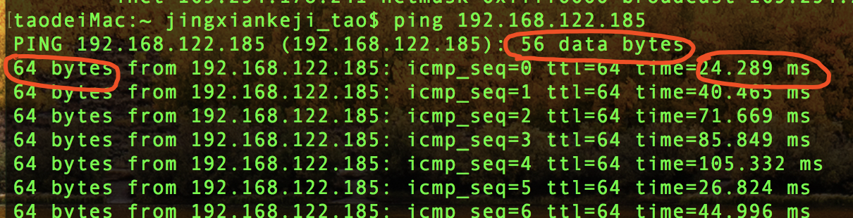 ping